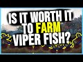 Is It WORTH IT To Farm Viper Fish? | Patch 8.3 Gold Making