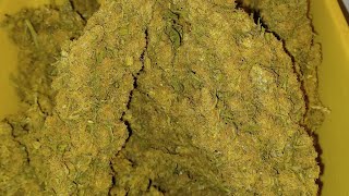 Final weight on Lemonade Haze from Ganja Farmer SE3000 medical marijuana grow
