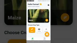 Crop Hack- Ghana AI Hackathon