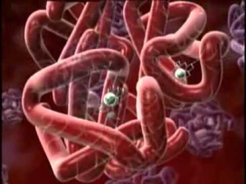 Oxygen Transport - Haemoglobin - YouTube