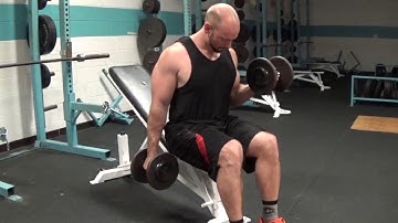 Biceps-Seated Alternating Dumbbell Curls with Rotation