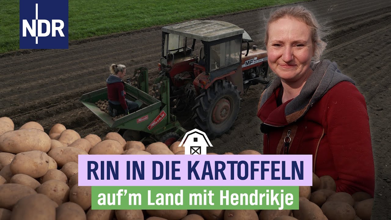 Alte Maschinen und neue Kartoffeln | Folge 15 | NDR auf'm Land mit Hendrikje