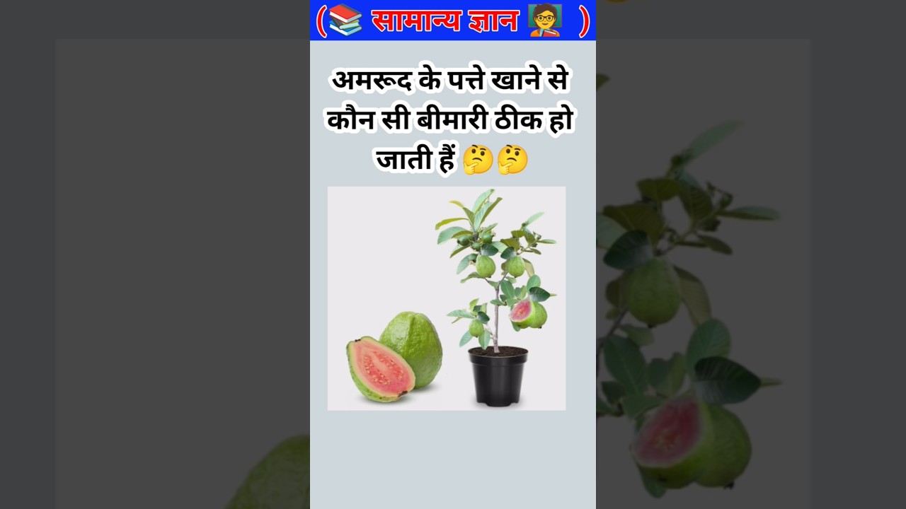 #90 Daily GK & Current Affairs 2025 | GK for All Exams 🔥🥰📚💯 