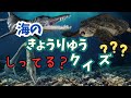 【恐竜 子供向け】難しい恐竜クイズ！恐竜好きな子供におすすめの動画🦕海の恐竜クイズ