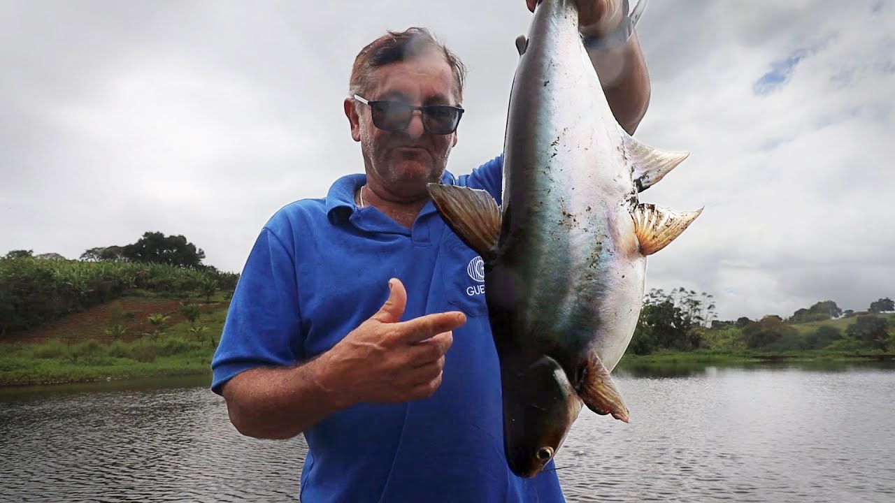 TESTEI NOVAS ISCAS PRA LINHADA + ESPANTALHO PARA OS TANQUE-REDES