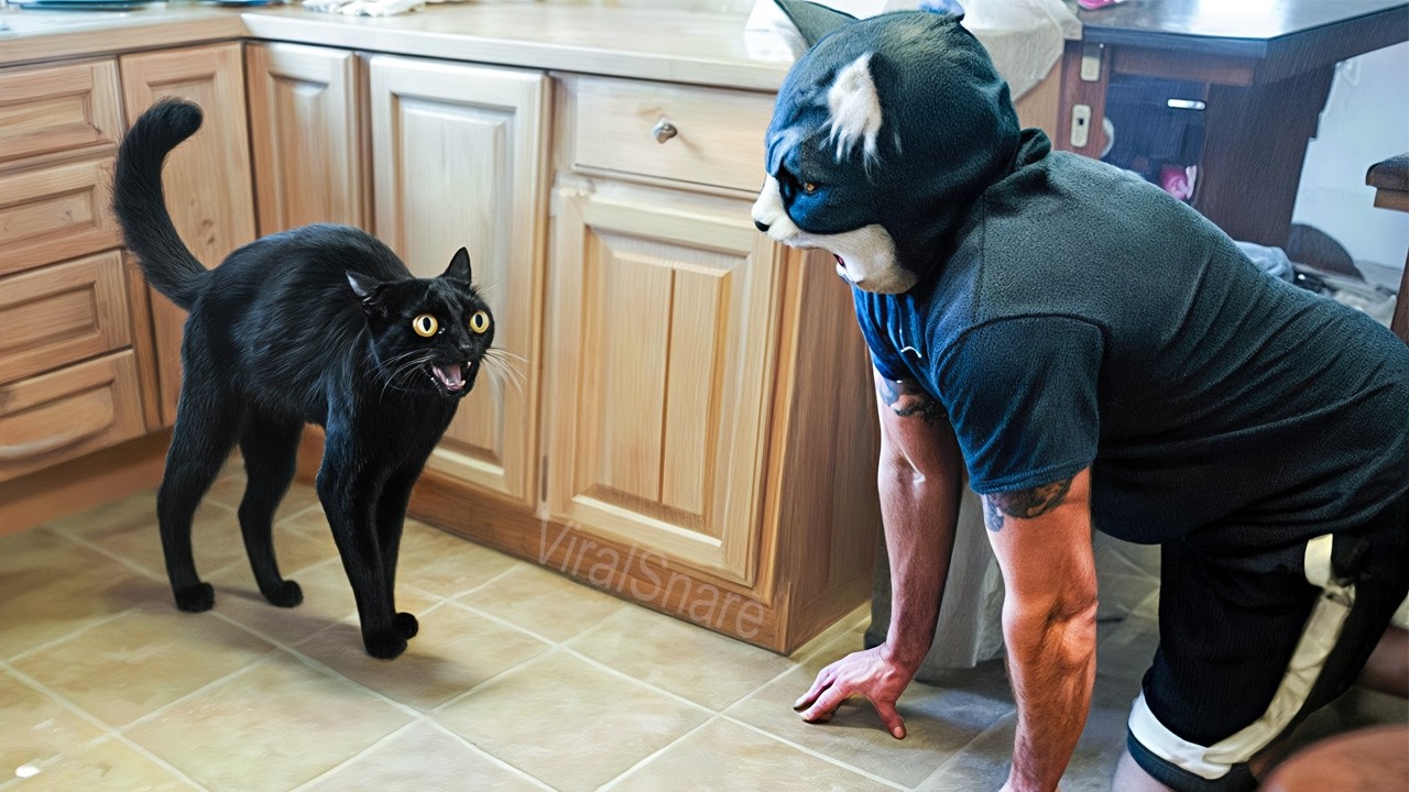 When Animals Get Scared Part 5 – Cats, Dogs & More!