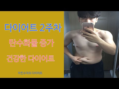 다이어트 2주차 / 복근이 완벽히 보일때까지 하는 다이어트