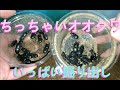 ちっちゃいオオクワガタ掘り出し＜ムシモンオオクワガタ＞