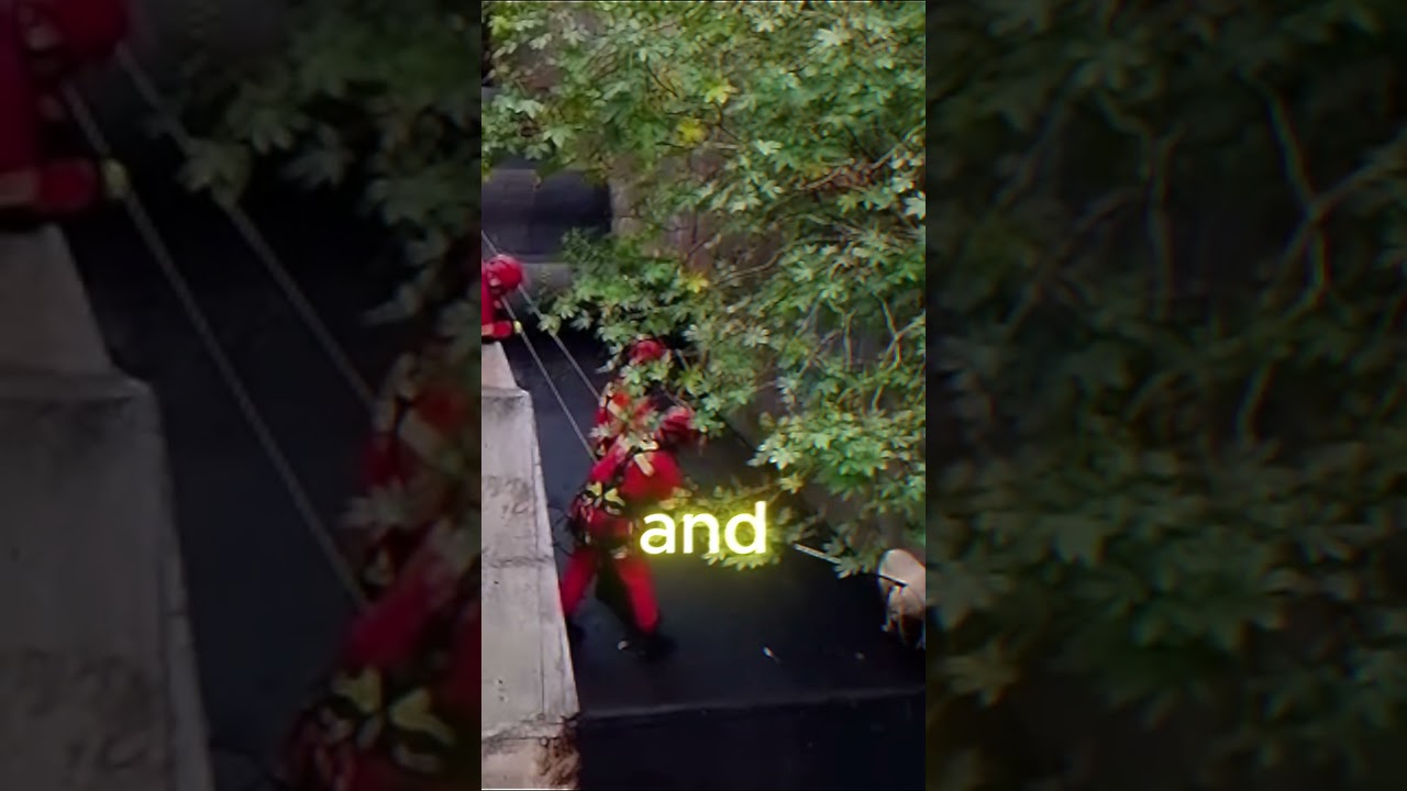 Dog Trapped in Deadly Sewer Gets Rescued What Happens Next Will Melt Your Heart 💖🐶