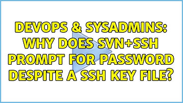 DevOps & SysAdmins: Why does SVN+SSH prompt for password despite a SSH key file?