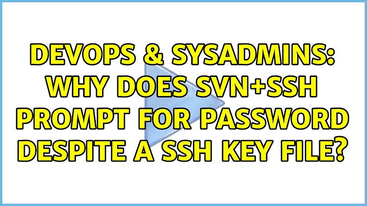 DevOps & SysAdmins: Why does SVN+SSH prompt for password despite a SSH key file?