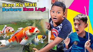 Praya Beli Ikan Hias Lucu Warna Warni & Menangkap Ikan Di Aquarium Sampai Dapat 🐳