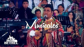 Video voorbeeld van "PRONTO REGRESARÁ - CANTO Y FORTALEZA  I BETHEL TELEVISION"