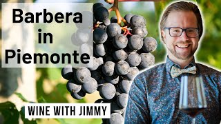 WSET Diploma L4 Discovering Piemonte Barbera