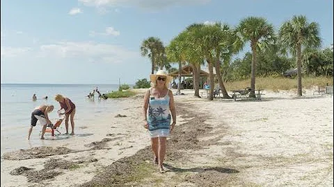 Did you know theres a beach in New Port Richey?
