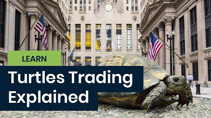 Turtles Trading Strategy Explained - COMPREHENSIVE - DayDayNews