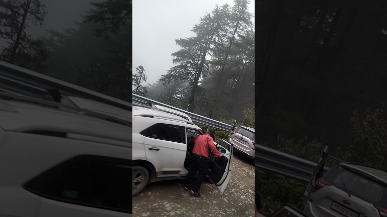 🌲❄️Narkanda का जाद |Cloudy Weather & MistyHills😍