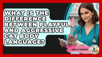 What Is The Difference Between Playful And Aggressive Cat Body Language? - Happy Cat Handbook