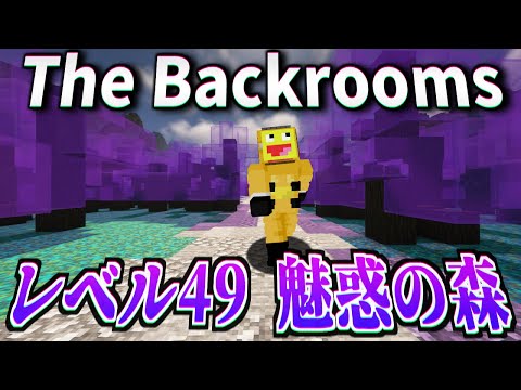 Level 5 - MINECRAFT IN BACKROOMS - atwiki（アットウィキ）