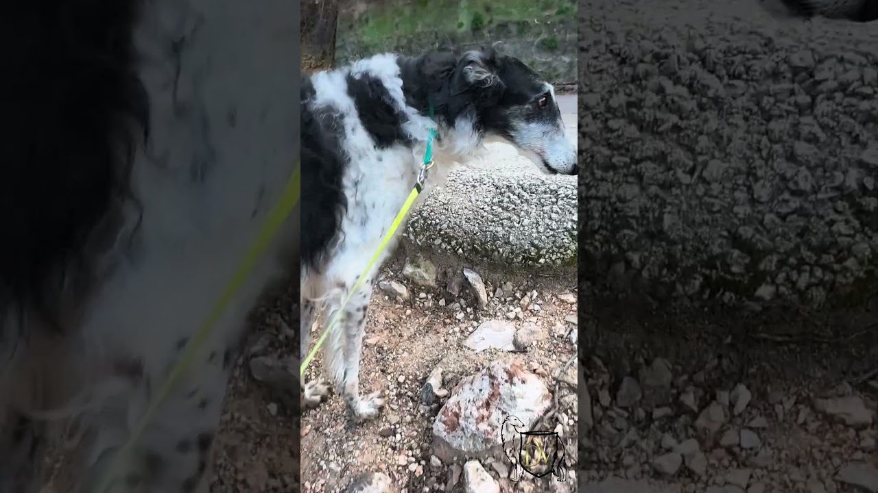 Мольфар: - Мамо, я сам!! !В такие моменты хочется и ругаться, и радоваться за него. Боец!