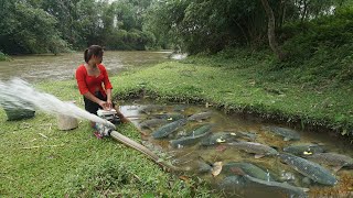 Unique fishing: Beautiful girl skillfully uses a Pump suck water in natural lake, catching many fish