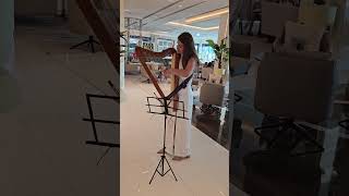 Lovely Female Electric Harpist in Dubai(2)
