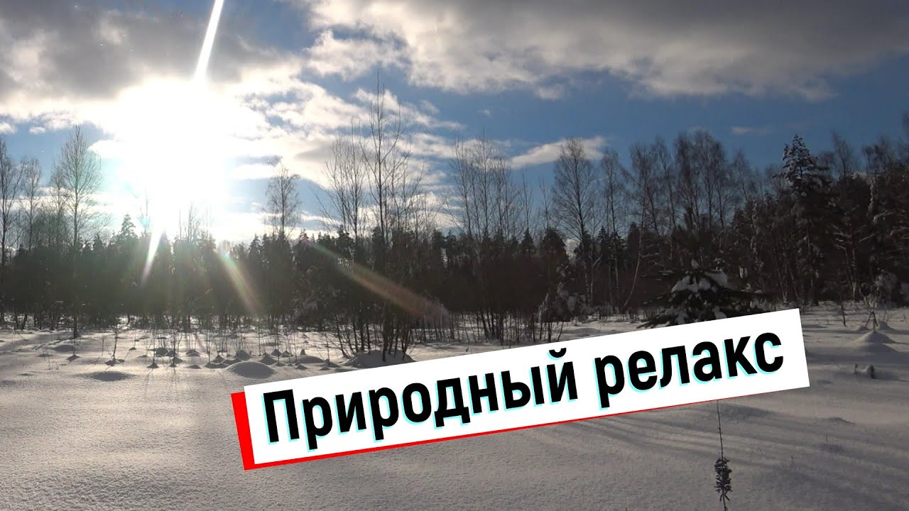 Природный релакс.Мороз и солнце;день чудесный... YouTube
