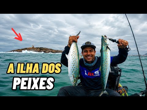 OS PEIXES ESTAVAM DEPOIS DAS ONDA DESSA ILHA - Pescaria