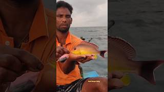 Snapper fish Catching in Deep Sea #tamil #fishermen #reels