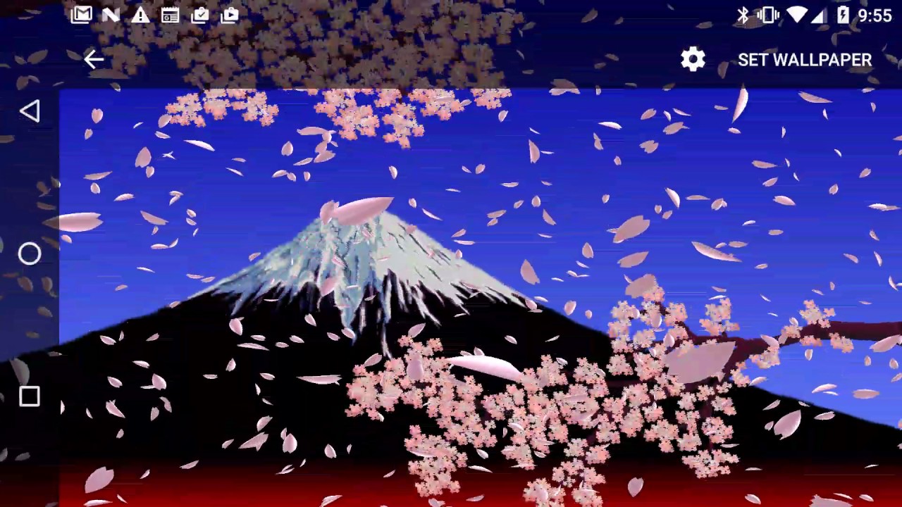 Cinfty Cherry Blossoms Aka Sakura Live Wallpaper Youtube