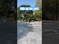 Ollie up the curb/manipad #skateboarding