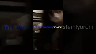 Miss You Türkçe Çeviri Kısa Lyricsdefn