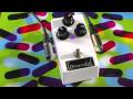 Lovepedal Eternity E6 - Strat - Laney VC50