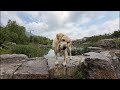 Wet Labrador on the Rocks at Baili Dujuan Lake