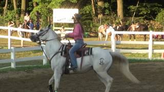 Jill Wood at Summit County Fair 2016