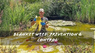 Blanket weed: prevention & control!