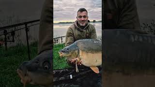 Piękny Karp z PZW #tropemkarpia #carpfishing #wędkarstwokarpiowe #fishing #fishing #karp
