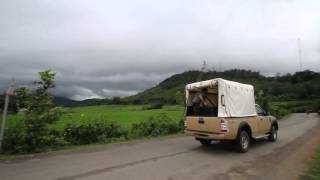 Moon Bear Cubs Rescued in Laos