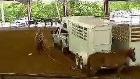 Problem Horse Trailer Loading - Part 2 of 2