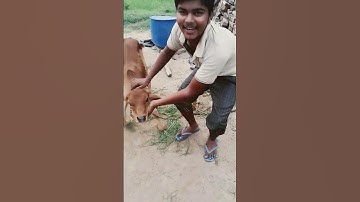 #sortes #funny #youtube #comedy #like and #subscribe #comedyfilms