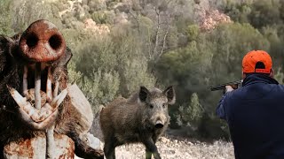 MANİSA Çinan Yaban Domuzu Avı (Turkey Wild Boar Hunt)