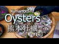 Kumamoto Oysters - Finger Limes | Microgreens | Sudachi | Yuzu