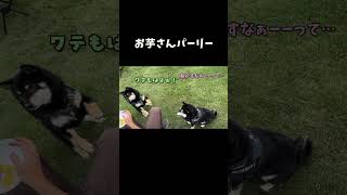 お芋さんパーリー