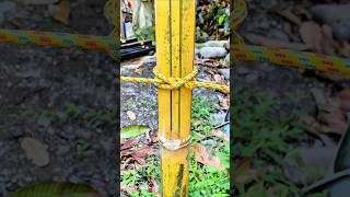 The Knot Most Often Used on Poles ✅#shortvideo #knot #knotstutorial