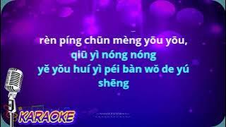 Lang man de ai qing - Remix - female - karaoke no vokal (hang jiao)cover to lyrics pinyin