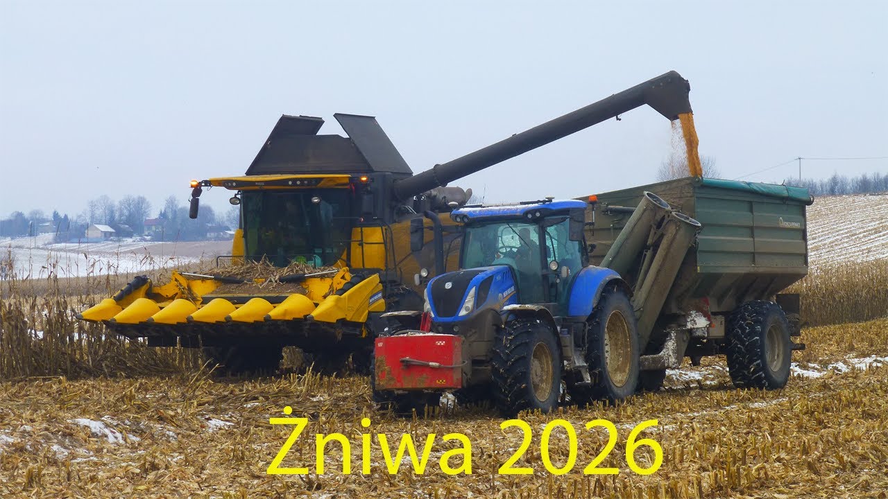 Żniwa kukurydziane 2026 | New Holland CX 6.80 | Agro-Karlik