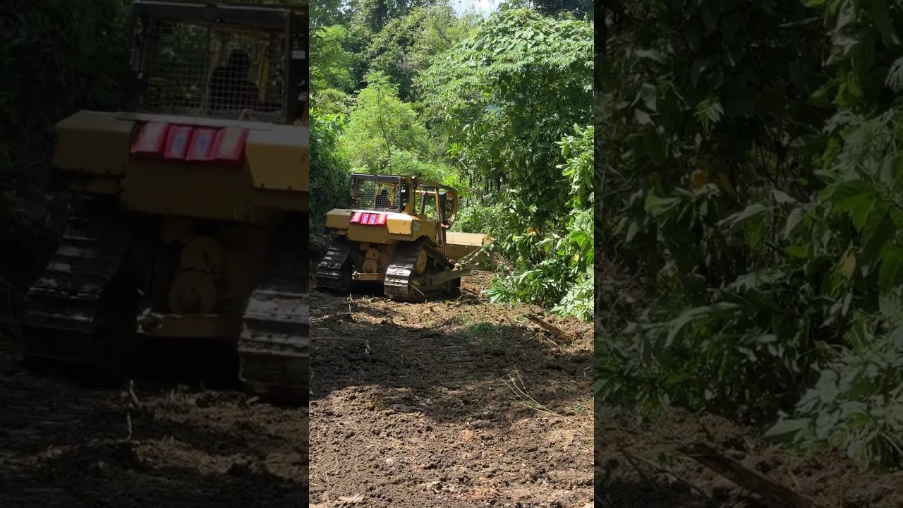 Perfecting Palm Terrace Construction on Slopes Using D6R XL Bulldozer Methods