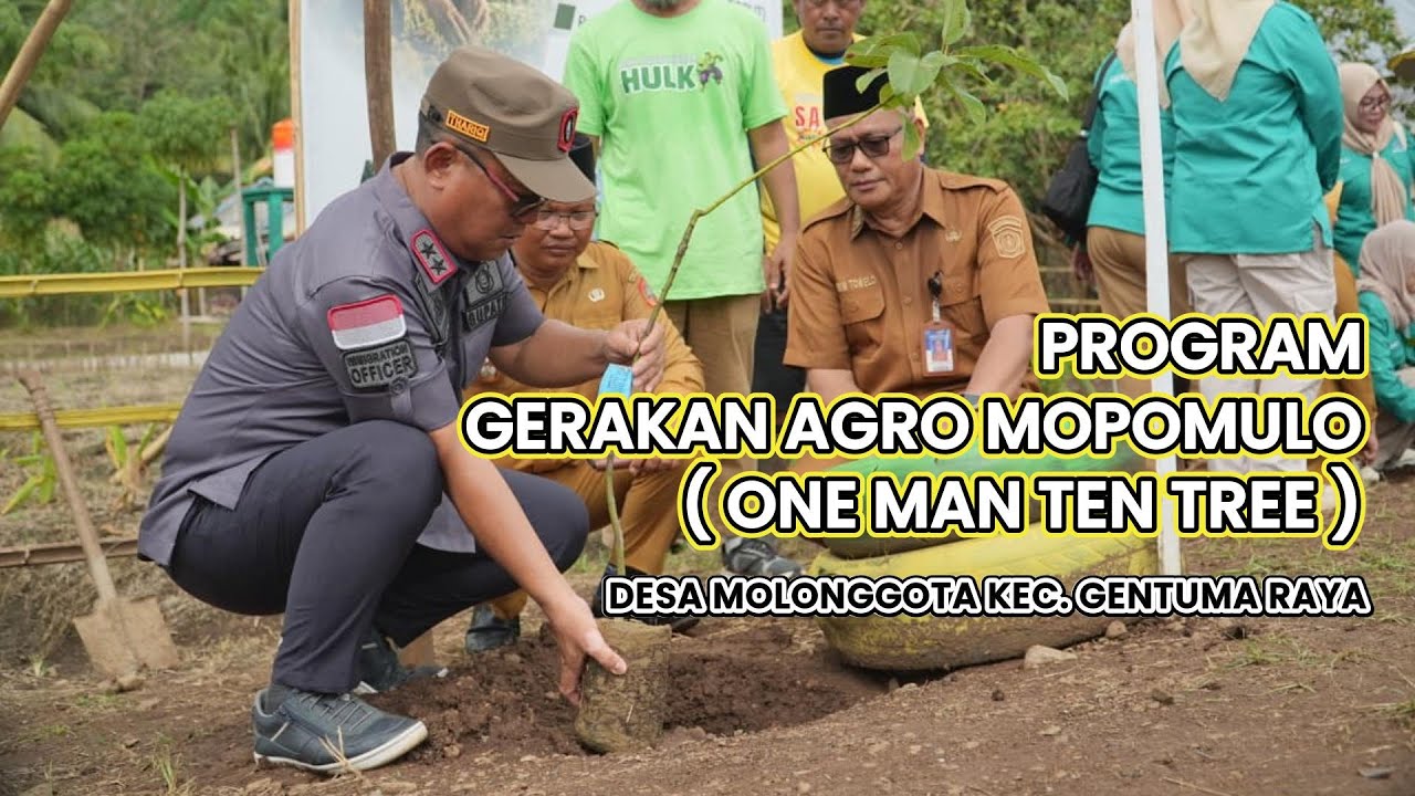 PROGRAM GERAKAN AGRO MOPOMULO ( ONE MAN TEN TREE ) DESA MOLONGGOTA KEC. GENTUMA RAYA