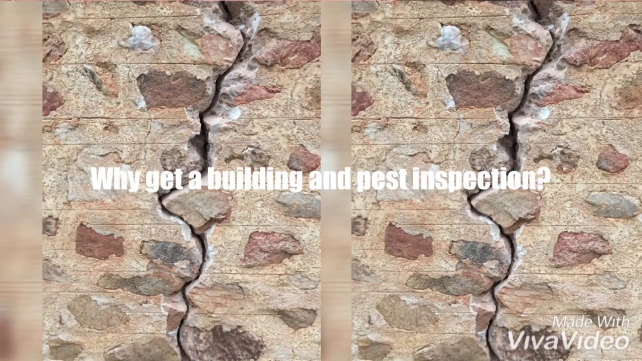 Building and Pest Inspectors Adelaide