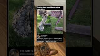 Simple way to fix your yard